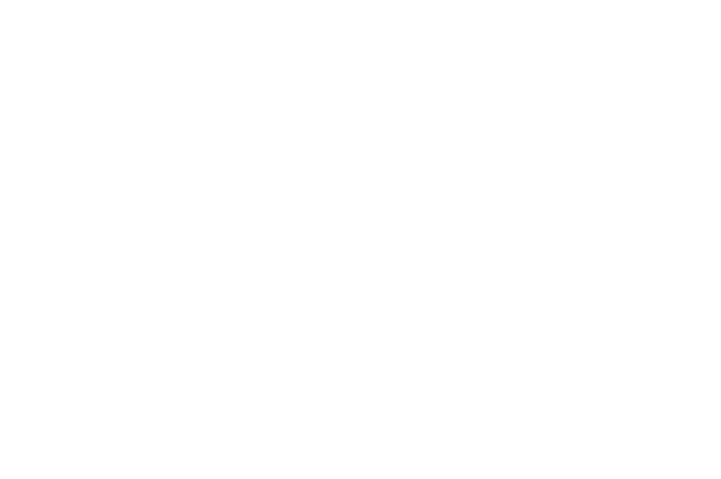 Bache Lynch Goldsmith & Mendoza PLLC